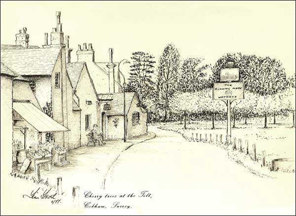 Cherry Trees at the Tilt, Cobham, Surrey (P&I)