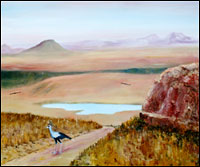 Secretary Bird S.Africa
